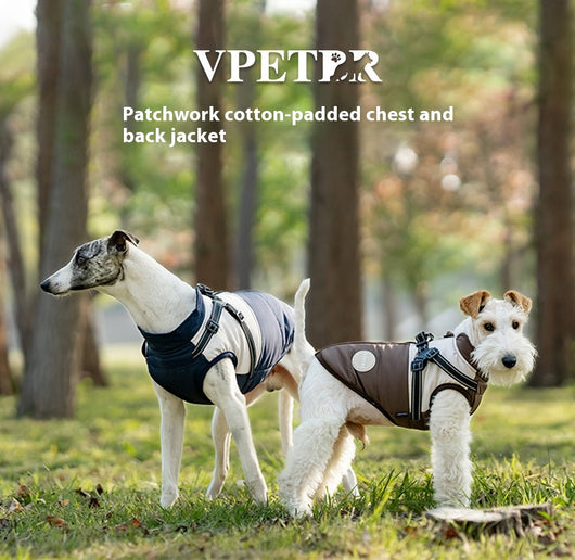 Chaleco Térmico Protector para Perros - Image 9