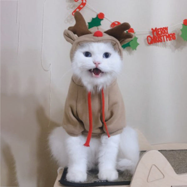 Suéter con Capucha Alce Damasco para Mascotas