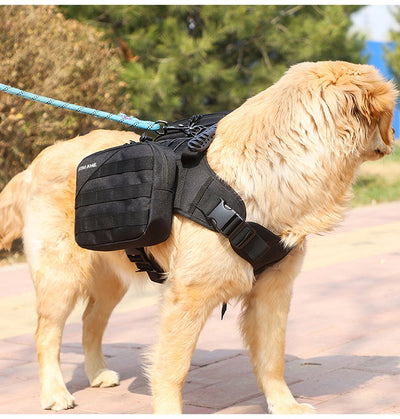Pack de Snacks para Perros Medianos y Grandes - Variedad Completa - Image 14
