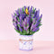 Mesa Lavanda