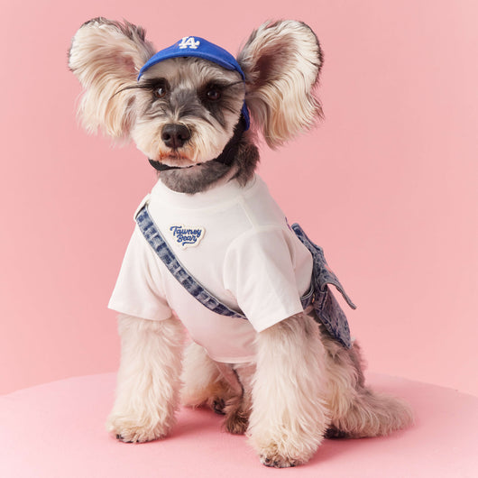Ropa de Verano para Perros Pequeños - Teddy Schnauzer Bichón - Image 2