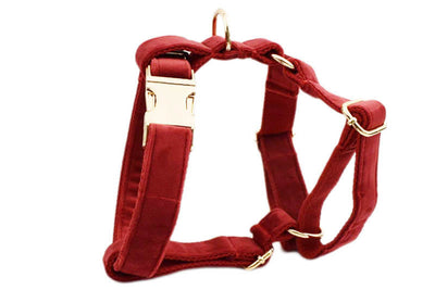 Collar de Tracción Resistente para Perros - Image 35