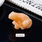 Specimen Popular Science Ornament Children's Gifts Sunstone