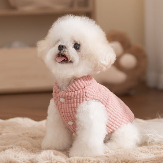 Abrigo Térmico para Perros Pequeños y Medianos - Chaleco Acolchado Cuadrille para Otoño e Invierno - Image 9
