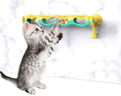 Grey tabby kitten playing with a yellow and teal wall-mounted cat toy featuring a track with rolling balls. - Image 12