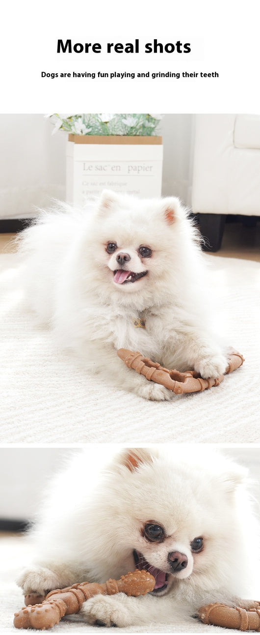 Juguete Masticable para Perros - Hueso Limpiador de Dientes Resistente - Image 8