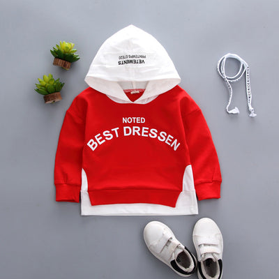 Suéter Casual con Bloques de Color y Estampado de Letras - Image 10