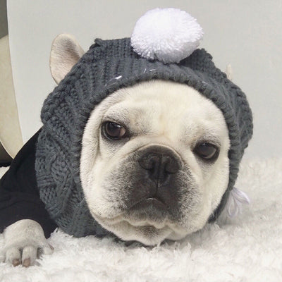 Gorro Divertido para Bulldog Francés y Pug - Image 19