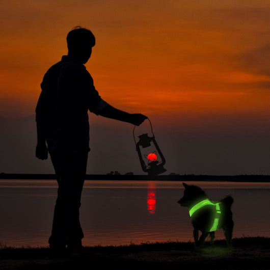 Arnés LED Recargable con Malla Reflectante para Perros - Image 2