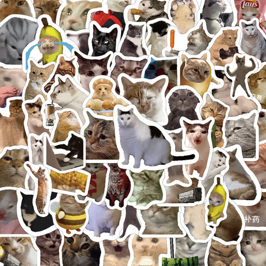 110 cute and funny cat stickers featuring various breeds and humorous poses, perfect for decorating laptops, water bottles, and journals. - Image 5