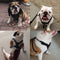 Arnés de Pecho para Perros Grandes Estilo Punk con Remaches - Resistente y Seguro