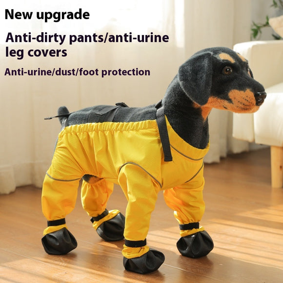 Protectores de Patas Impermeables para Perros