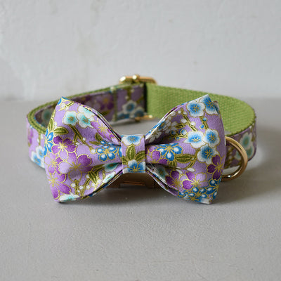 Collar Correa Purple Zephyr para Perros - Image 7