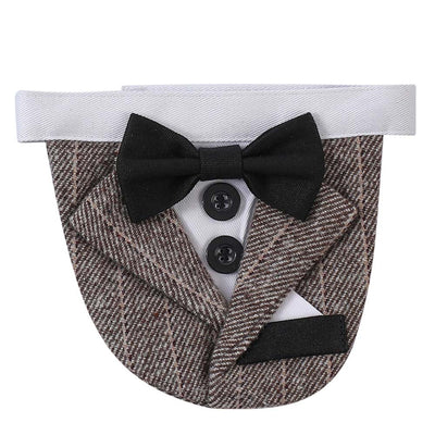 Traje de Mascota Elegante para Bodas con Diseño Triangular - Image 8