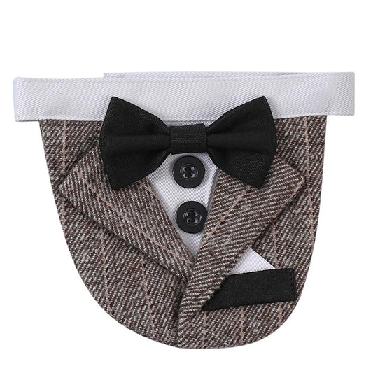Traje de Mascota Elegante para Bodas con Diseño Triangular - Image 8