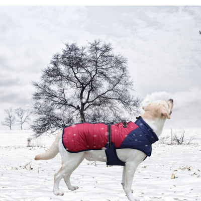 Abrigo Térmico para Perros - Invierno y Otoño - Image 14