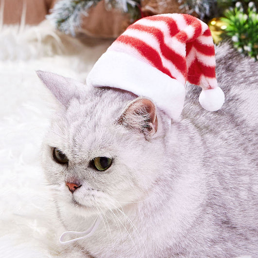 Gorro Navideño Multicolor a Rayas para Mascotas - Image 26