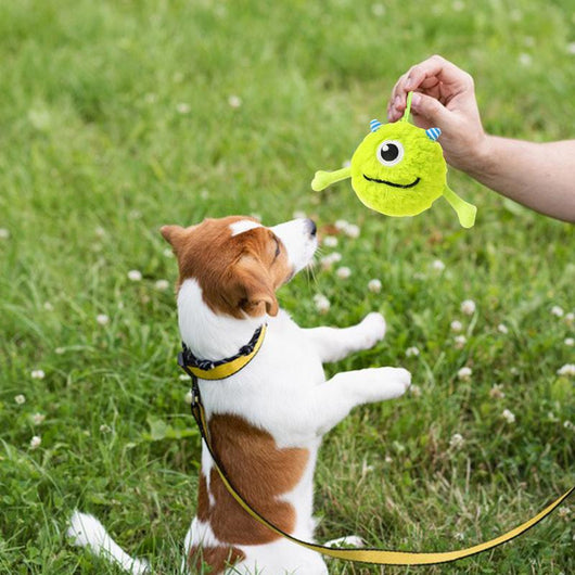 Juguete Interactivo para Perros con Sonido - Pelota Multifuncional para Limpiar Dientes - Image 4