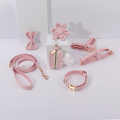 Conjunto de Collar y Correa de Terciopelo Suave para Mascotas - Image 16