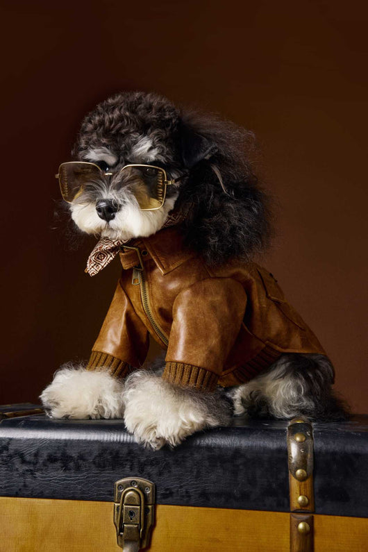 Abrigo de Cuero Retro Estampado Schnauzer Bichon - Manga Larga Unisex - Image 6