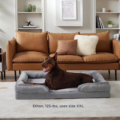 Sofá Cama Acogedor para Perros con Cojín Desmontable - Image 14