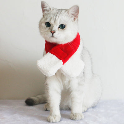 Pañoleta Térmica para Mascotas y Accesorios de Invierno - Image 7