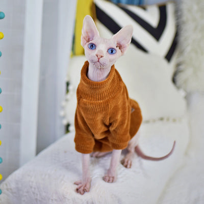 Ropa para Gatos Esfinge Neil Rong - Abrigos Térmicos Especializados - Image 10