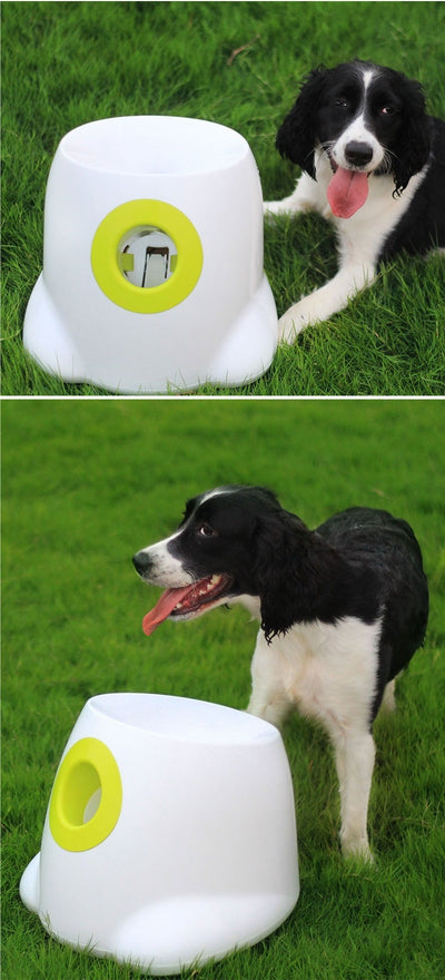 Lanzador Automático de Pelotas de Tenis para Perros - Image 12