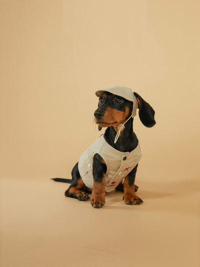 Chaleco Deportivo para Mascotas - Ropa de Trabajo Resistente a Manchas - Image 12