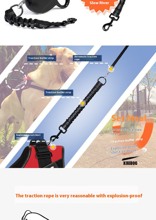 Correa Retráctil Automática para Perros y Gatos 5m - Cuerda de Tracción Extensible - Image 14