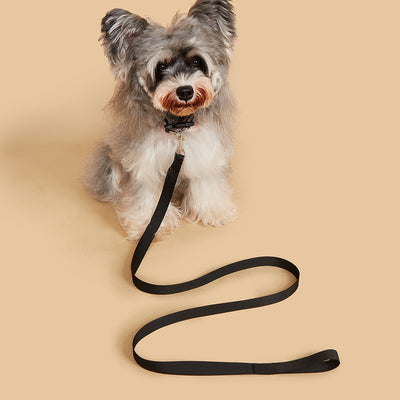Correa Portátil con Asidero para Perros - Collar de Paseo Seguro - Image 3