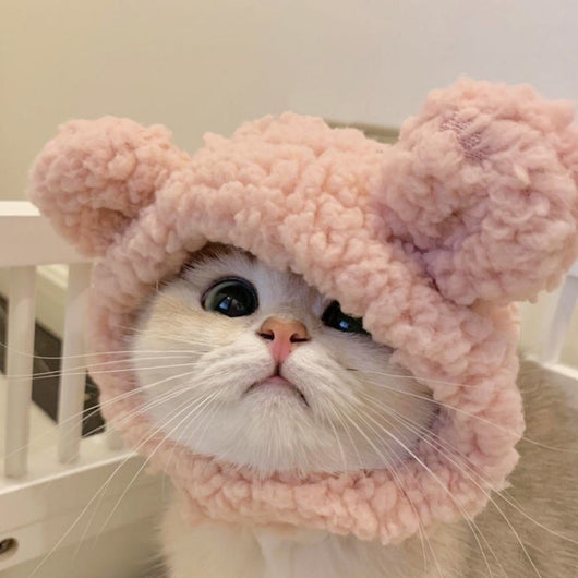Gorro Felino de Moda: Expresa tu Personalidad y Creatividad - Image 5