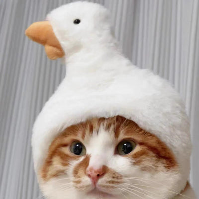 Gorro Felino de Moda: Expresa tu Personalidad y Creatividad - Image 10