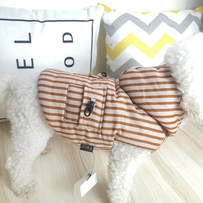 Ropa para Perros Pequeños - Outfits para Chihuahua y Bulldog Francés - Image 4