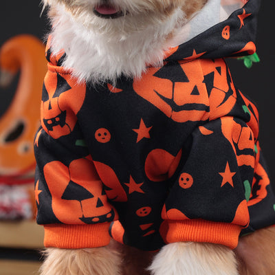 Suéter Calabaza para Perros y Gatos - Abrigo Cálido y Adorable - Image 13