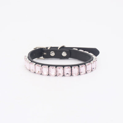 Collar de Poliuretano para Perro y Gato - Image 16