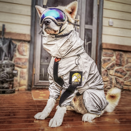 Impermeable Integral para Perros - Protección Total Contra la Lluvia - Image 8