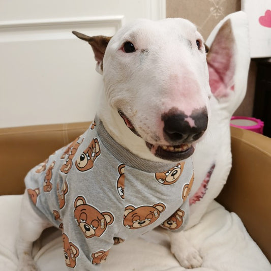 Playera para Mascota con Estampado de Osito Adorable - Image 2