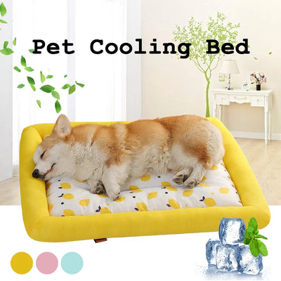 Casa Fresca para Perros Verano - Transpirable e Impermeable - Image 8