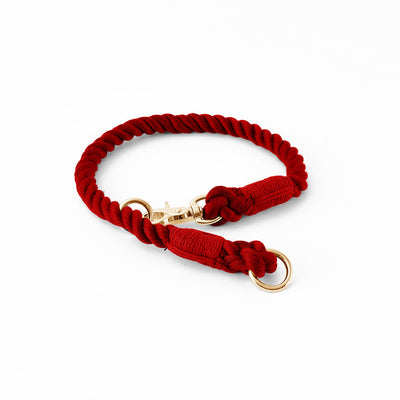 Collar Tipo P Ajustable para Perros Pequeños y Medianos - Image 5
