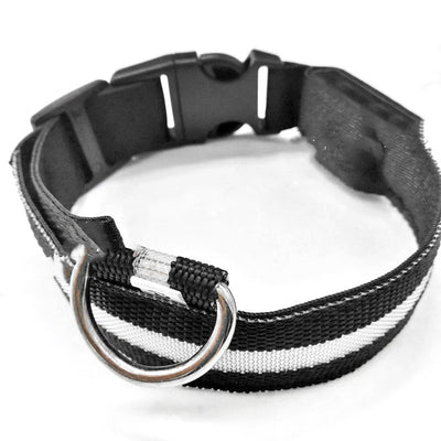 Collar Luminoso Antiextravío para Perros con Placa de Identificación - Image 10