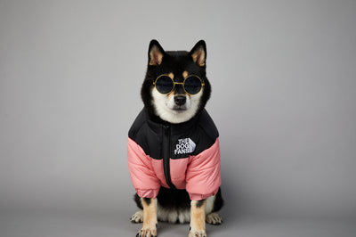 Abrigo Impermeable y Cortavientos para Perros - Ropa de Invierno Acolchada - Image 33
