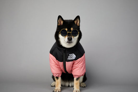 Abrigo Impermeable y Cortavientos para Perros - Ropa de Invierno Acolchada - Image 33
