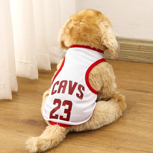 Chaleco Deportivo Transpirable para Mascotas - Image 23