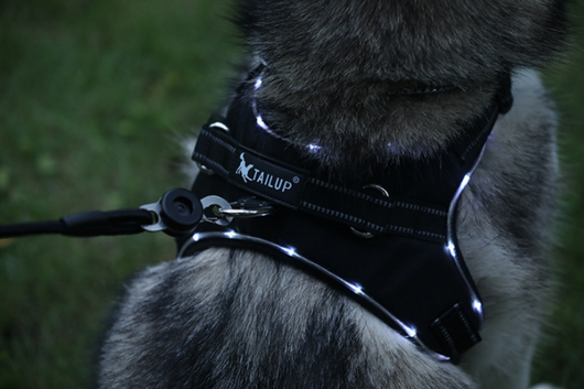 Arnés LED Reflectante para Perros Medianos y Grandes con Control de Tracción - Image 4