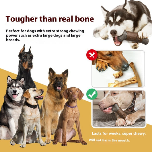 Juguete para Perro Resistente a Mordidas con Sonido y Masajeador de Encías - Image 4