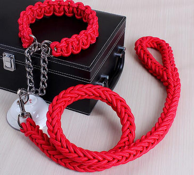 Collar para Perro Resistente y Cómodo - Image 9