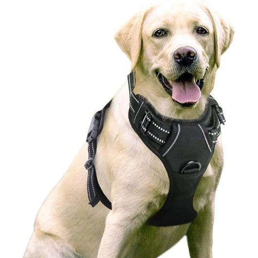 Red and black dog harness with reflective strips, adjustable straps, and a top handle for secure pet control. - Image 3