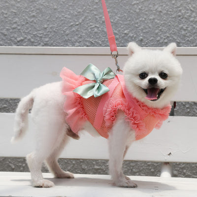 Arnés Respirable con Falda para Perros - Chaleco Cómodo y Fresco - Image 12
