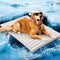 Tapete Refrescante para Mascotas - Prevención de Golpe de Calor